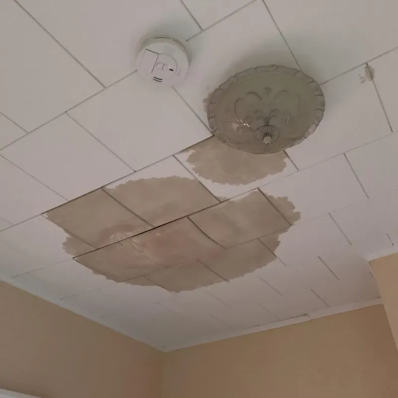 Ceiling Water Damage Repair in Madison Lake, MN