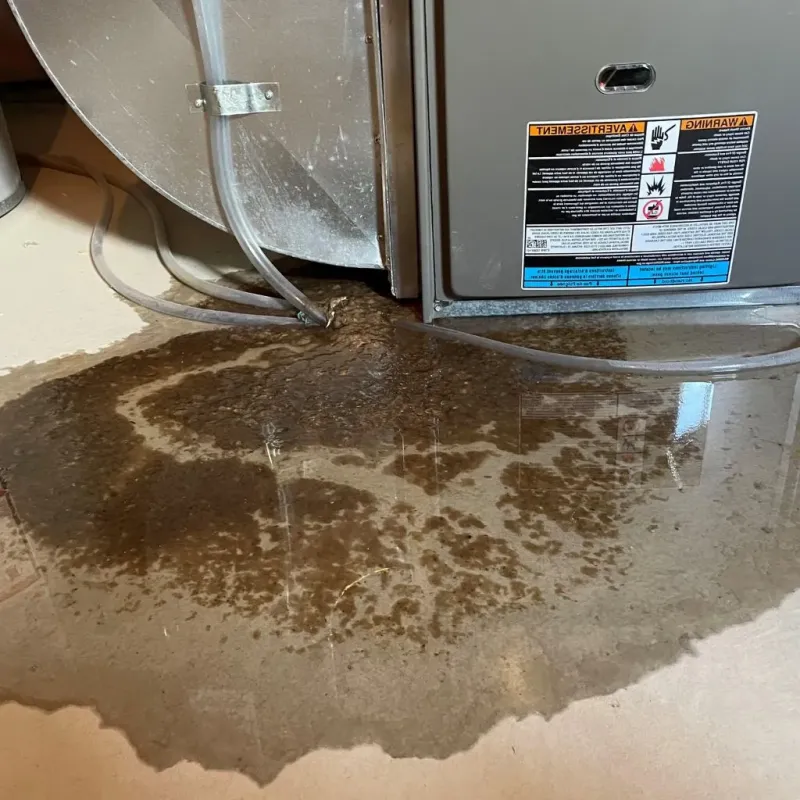 Pipe Burst and Leak Restoration in Madison Lake, MN